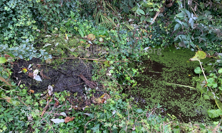 This image has an empty alt attribute; its file name is image-3.png